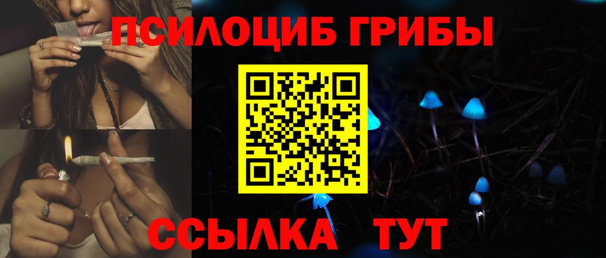 Вязьма  Псилоцибиновые грибы мухоморы  Вход с VPN 